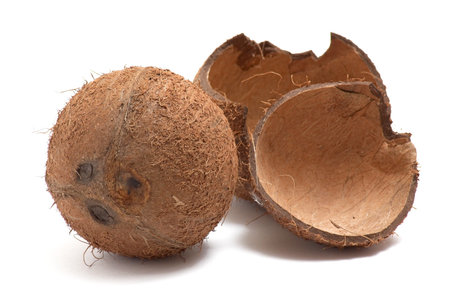 One whole and broken coconut isolated  on white background.