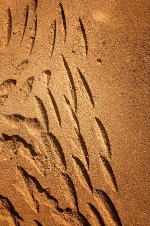 Abstract grunge wall background.の写真素材