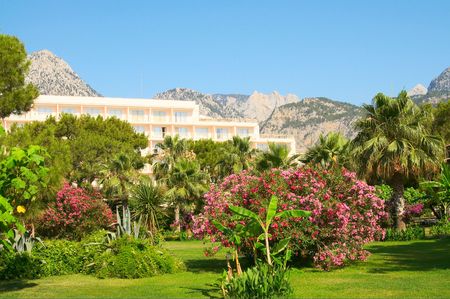 Beautiful view of garden in the tropical country. Tourism and travel.の写真素材