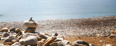 Little lizard blended into the stone .の写真素材