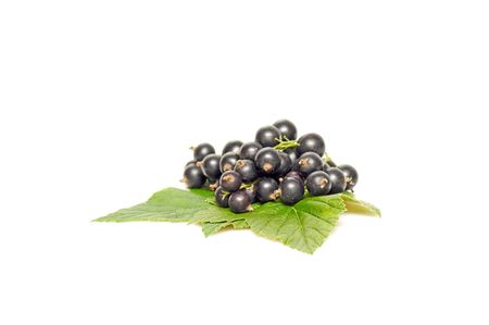 Tasty black currant and green leaves isolated on a white background.の写真素材
