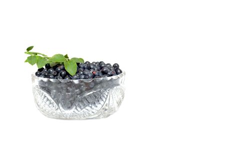 Ripe,juicy whortleberries in the bowl isolated on a white background.の写真素材