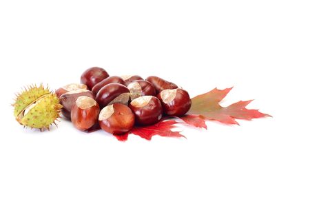 Autumn chestnuts and leaf isolated on a white background.の写真素材