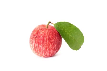 Juicy ripe apple with green leaf isolated on a white background.の写真素材
