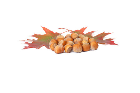 Hazelnuts and autumn leaves on a white background.