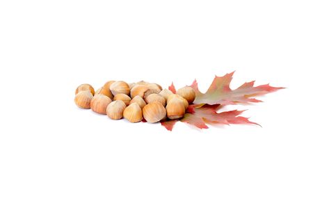 Ripe hazelnuts and autumn leaves on a white background.の写真素材