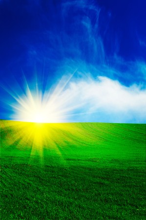 Wonderful field with growing wheat and fun sun early morning by spring.の写真素材