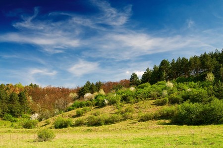 Wonderful blue sky and nice awakening of the springtimeの写真素材