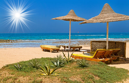 Amazing flowerbed next to sunbeds and sea.の写真素材