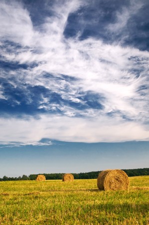 Field, three bales and amazing blue sky with white clouds.の写真素材