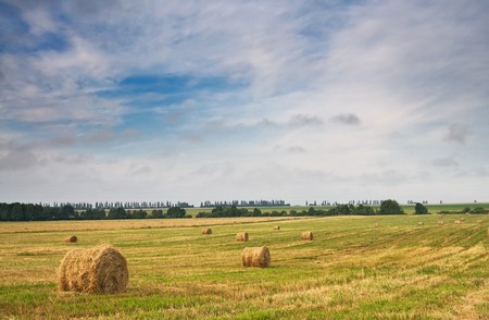 Rural landscape of haystacks and cloudy sky.の写真素材