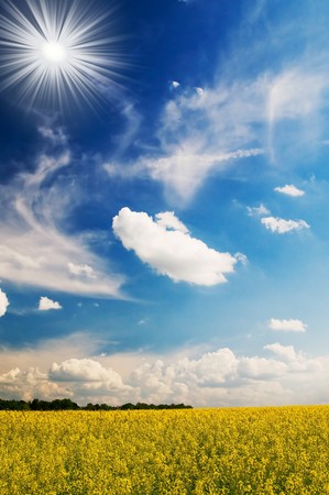 Wonderful rapefield and blue sky with clouds.の写真素材