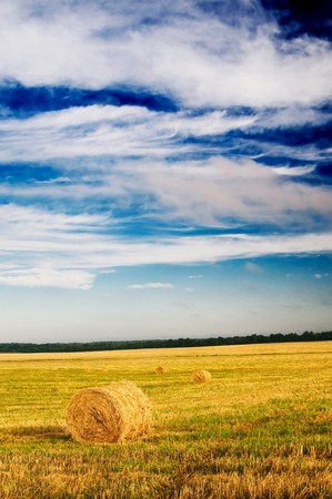 Haystacks and stubble by summertime.の写真素材