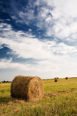 Haystack and stubble by summertime.の写真素材