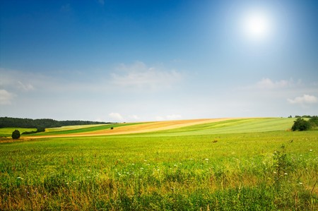 Serene summer meadow and wonderful blue sky.の写真素材