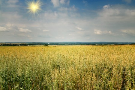 Splendid ukrainian landscape by summertime.の写真素材