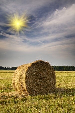 Rural landscape of haystacks.の写真素材