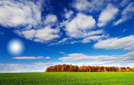 Beautiful autumnal view of  green wheat field, brown grove. and fun sun in the sky. の写真素材