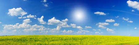 Wonderful panorama of rapefield and cloudscape.の写真素材