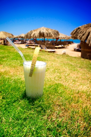 Tasty pina colada on the grass の写真素材