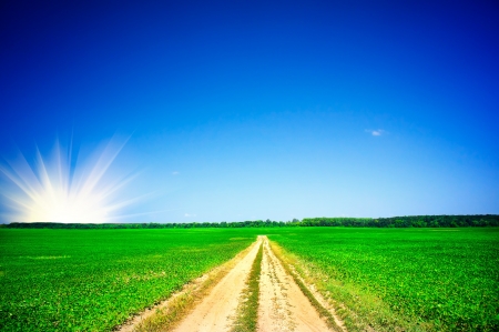Fine green soybean field and blue sky with clouds.
の写真素材