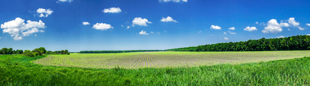Nice and wonderful view sown field.の写真素材