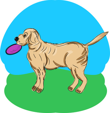 Illustration of a Retriever with a flying disk in a Park  のイラスト素材