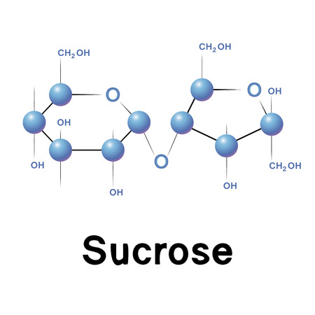 Sucrose molecule structure, biochemistry, chemistry, vector illustration のイラスト素材