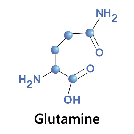 Vector illustration, the chemical formula of glutamineのイラスト素材