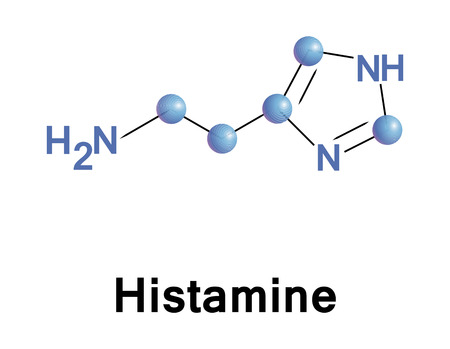Histamine is an organic nitrogenous compound involved in local immune responses as well as regulating physiological function in the gut and acting as a neurotransmitter.のイラスト素材
