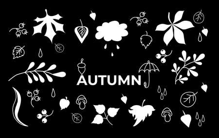 Vector set of autumn drawings on a black background. White outline and silhouette. Doodle of various leaves and berries, mushrooms and text. Set of elements for the fall season. Vectorのイラスト素材