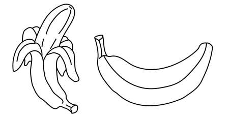 banana. Outline drawing. Two options - whole and cleaned. Vector. Isolated on whiteのイラスト素材