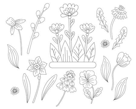 Spring flowers set - chamomile, daffodil, tulip, dandelion, violet and pussy willow. Vector drawing. Black line, outline. Ornamental first plants for printing, decor, design, decoration and postcardsのイラスト素材