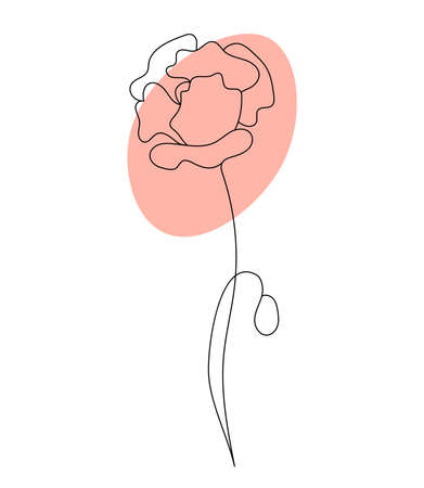 Outline poppy flower. Linear hand drawn minimalist drawing, continuous line. vector illustration. Plant flower with bud and poppy headのイラスト素材