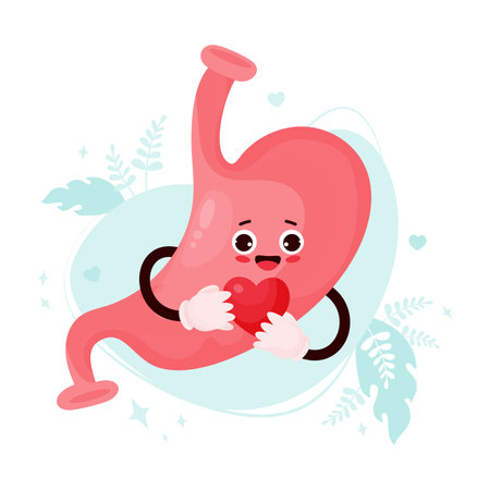 Cute cartoon stomach character. Funny smiling human organ with heart in his hands. Vector illustration. Funny organ of gastrointestinal tract romantic mascot.のイラスト素材