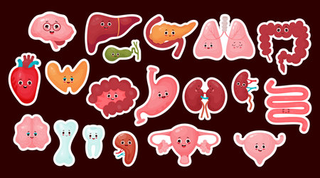 Big collection stickers cute human cartoon organs. Isolated vector flat funny cartoon characters illustrations design. Anatomy conceptのイラスト素材