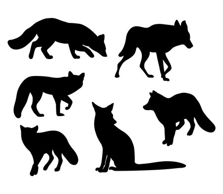 Collection silhouettes wild forest animals fox and wolf. Vector illustration. Isolated hand drawings predators on white background for design.のイラスト素材