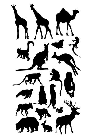 Collection animal silhouettes. vector illustration. Isolated hand drawings tropical African giraffe, meerkat, monkey, kangaroo and forest predators bear, fox and wolf on white backgroundのイラスト素材