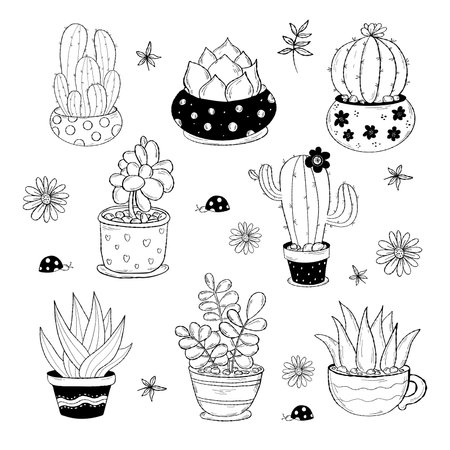 Collection tropical houseplant cactus doodle. vector illustration. Isolated decorative hand drawings indoor plants flowerpots for design and decorのイラスト素材