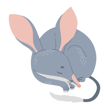 Cute sleeping bilby animal. Australian wild mammal. Vector illustration in flat styleのイラスト素材