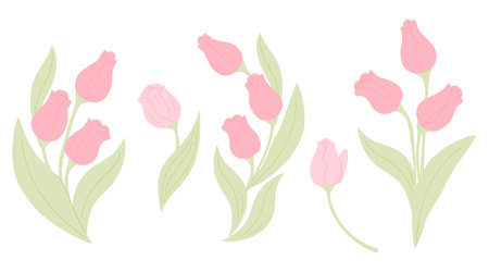 Pink Tulips collection. Isolated spring flowers and bouquets on white background. Vector illustration in pastel colors flat styleのイラスト素材