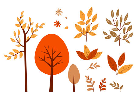 Autumn nature. Colorful Trees, Bushes, Branches and Leaves collection. Isolated Seasonal fall Botanical Elements on White Background. Minimal flat style. Vector illustration. Not AIのイラスト素材