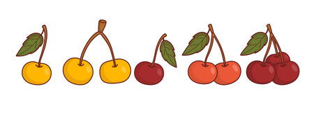 Cherries and Multicolored Sweet Cherries Yellow and Red. Mismatched Berries with Green Leaves...