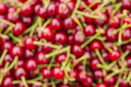 cherry bokehの写真素材