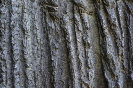 Seamless rock texture backgroundの写真素材