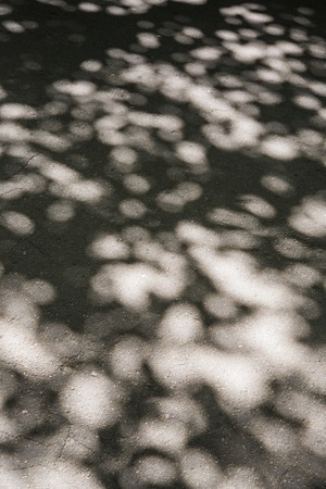 Texture shadow from treesの写真素材