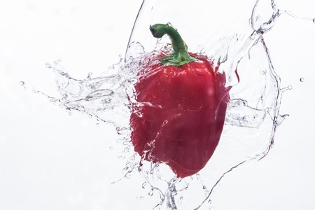 Paprika In Waterの写真素材