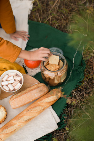 Picnic in nature, a hand takes a cookie.の写真素材