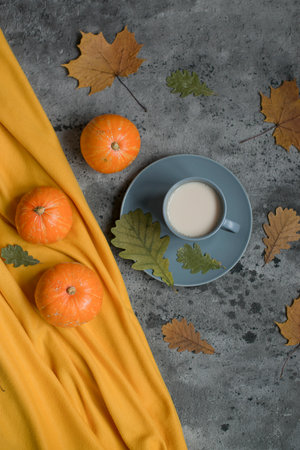 Autumn composition, pumpkins and a mug with a drinkの写真素材