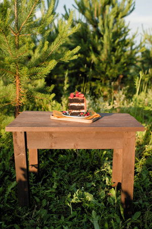 An appetizing piece of cake decorated with berries stands on a wooden table in natureの写真素材
